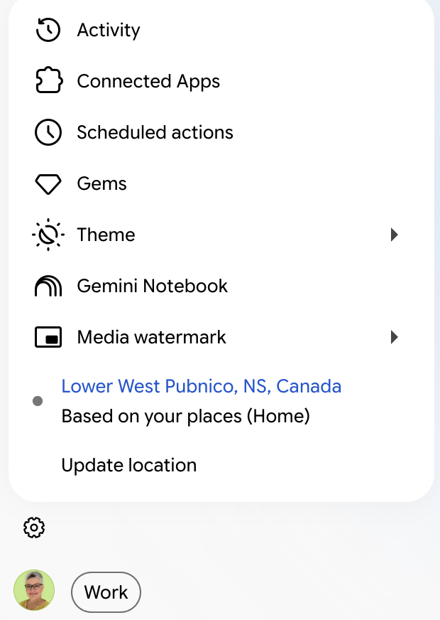 Gemini app Activity settings